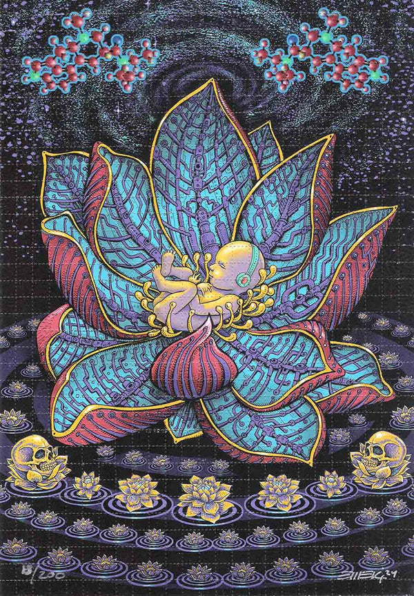 Emek Lotus Baby Blotter Art
