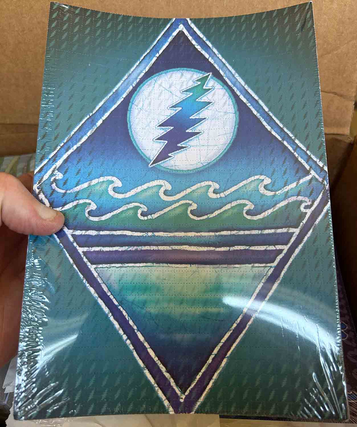 Tina Carpenter Lightning Moon Blotter Art Signed)