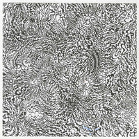 Jacaeber Kastor Optronic Blotter Art