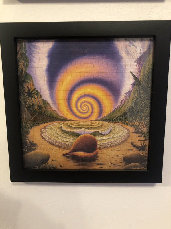 "Seashell" - Mark Henson LE 125