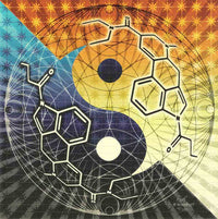 Brian Woodruff Yin-Yang Molecule Blotter Art
